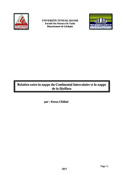 Etude de la relation entre la nappe du CI et la nappe de la Djeffara