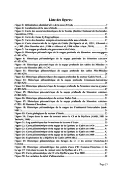 Etude de la relation entre la nappe du CI et la nappe de la Djeffara