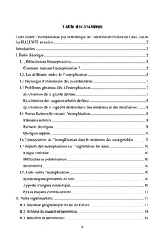Techniques d'aération pour la lutte contre l'eutrophisation des lacs