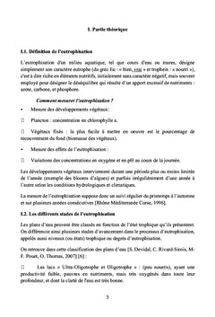 Techniques d'aération pour la lutte contre l'eutrophisation des lacs