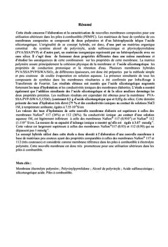 Synthèse de Nouveaux Matériaux Polymères Echangeurs d'Ions