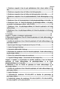 Synthèse de Nouveaux Matériaux Polymères Echangeurs d'Ions