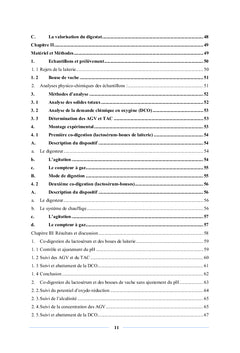 Production de biogaz par valorisation du lactosérum en co-digestion anaérobie