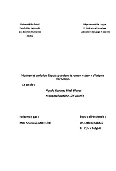 Violence et variation dans le roman « Beur » d'origine marocaine