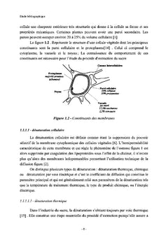 Intensification d'extraction par traitement par champ électrique pulsé