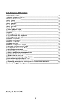 Système d'information décisionnel : cas du recensement de 2013