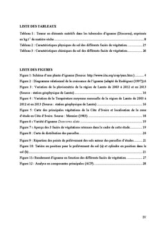 Production d'igname dans les jachères à Chromolaena odorata