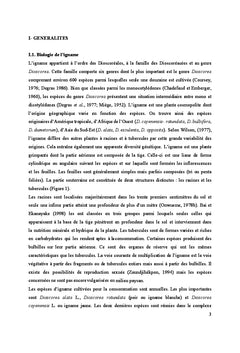 Production d'igname dans les jachères à Chromolaena odorata
