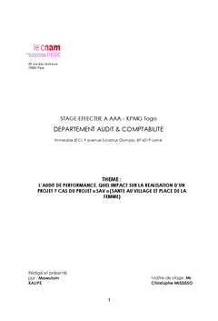 L'audit de performance, quel impact sur la realisation d'un projet?