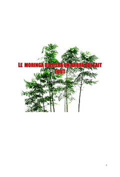 Le Moringa Oleifera, un Arbre Qui Fait Tout