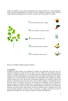 Le Moringa Oleifera, un Arbre Qui Fait Tout