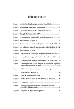 Détermination des fréquences alléliques HLA classe I et II