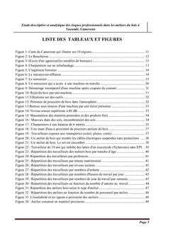 Étude descriptive des risques professionnels dans les métiers du bois