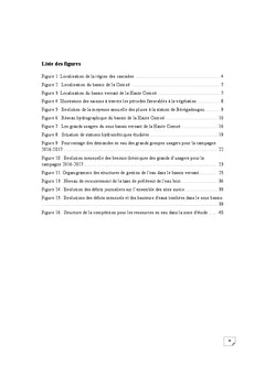 Etat de la mise en oeuvre de la gestion integree des ressources en eau (GIRe)
