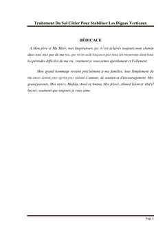 Traitement Du Sol Côtier Pour Stabiliser Les Digues Verticaux