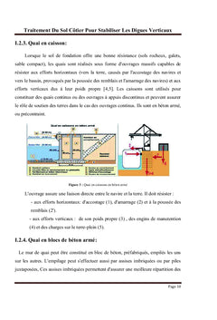 Traitement Du Sol Côtier Pour Stabiliser Les Digues Verticaux