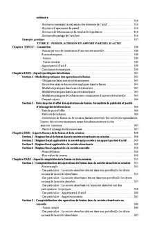 Comptabilité des sociétés commerciales (système OHADA)