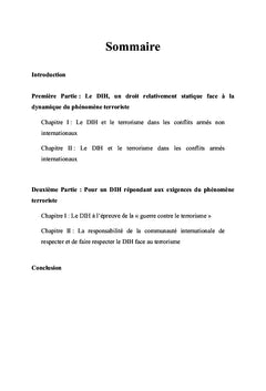 Le terrorisme et le droit international humanitaire