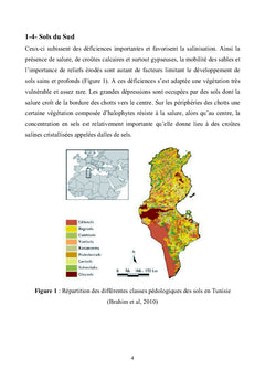 Etat des connaissances sur la durabilité des sols agricoles en Tunisie