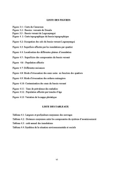 Gestion des plaines d'inondation dans la ville de Douala