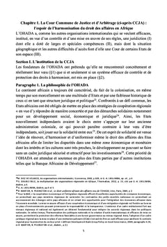 L'OHADA: entre l'harmonisation et l'effectivité du droit au juge