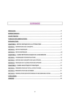 La gestion des risques financiers par les options