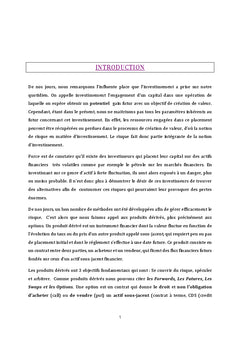 La gestion des risques financiers par les options