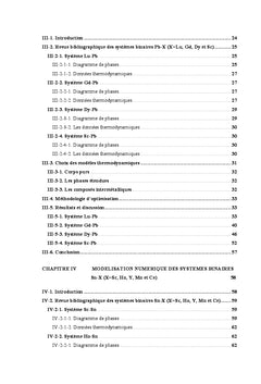 Modélisation thermodynamique des systèmes binaires et ternaires