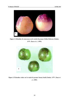 Effet de Sels de calcium
