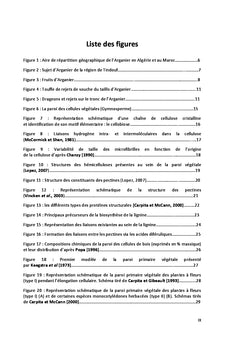 Les polysaccharides pariétaux de l'Arganier