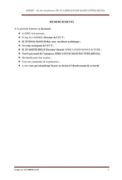AMDEC des ensacheuses CPL 85 STIAVELLI