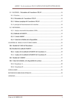 AMDEC des ensacheuses CPL 85 STIAVELLI