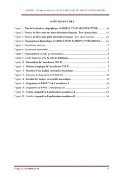 AMDEC des ensacheuses CPL 85 STIAVELLI