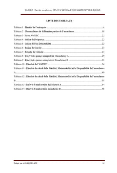 AMDEC des ensacheuses CPL 85 STIAVELLI