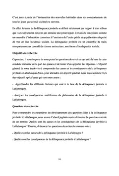 La délinquance juvénile à Lafiabougou