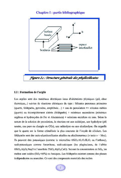 Etude de l'élimination de tensioactifs par adsorption sur une argile