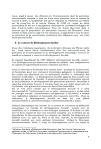 Protection internationale de l'environnement