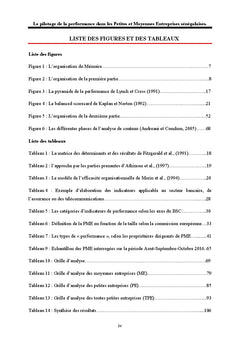 Le pilotage de la performance dans les Petites et Moyennes entreprises