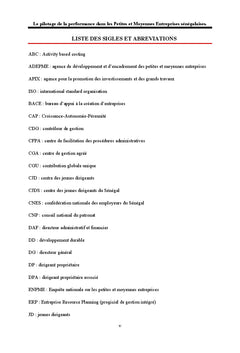 Le pilotage de la performance dans les Petites et Moyennes entreprises