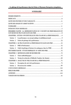 Le pilotage de la performance dans les Petites et Moyennes entreprises
