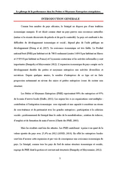 Le pilotage de la performance dans les Petites et Moyennes entreprises