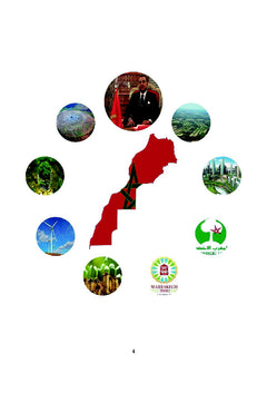 Le Maroc de l'économie verte