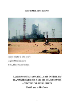 La responsabilité sociétale des entreprises transnationales