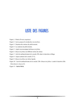 La flore fongique des grottes de Beni Ade