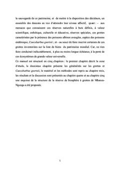 Grottes aux poissons aveugles