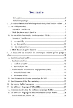 Pompes a efflux comme mecanisme de resistance aux antibiotiques