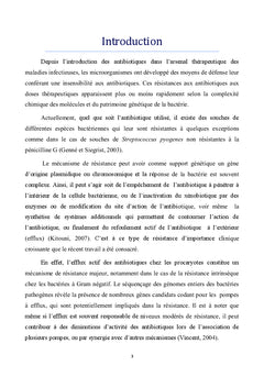 Pompes a efflux comme mecanisme de resistance aux antibiotiques