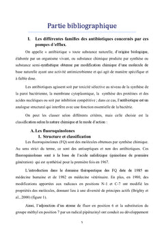 Pompes a efflux comme mecanisme de resistance aux antibiotiques