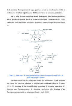 Pompes a efflux comme mecanisme de resistance aux antibiotiques