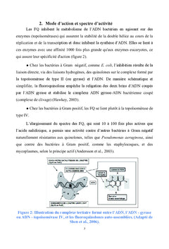 Pompes a efflux comme mecanisme de resistance aux antibiotiques